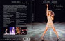 CELINE DION A NEW DAY LIVE A LAS VEGAS